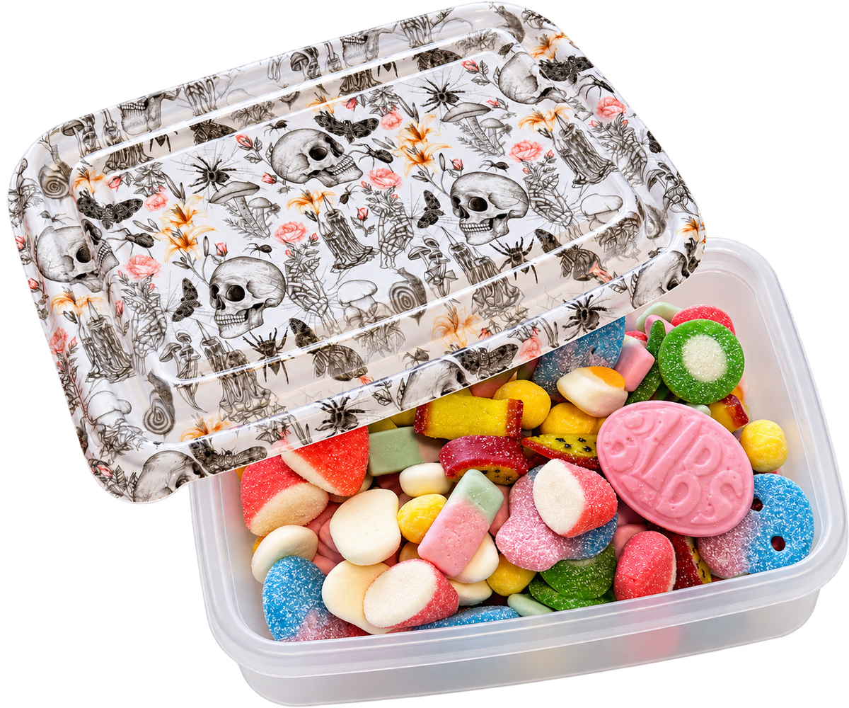 Skull Container