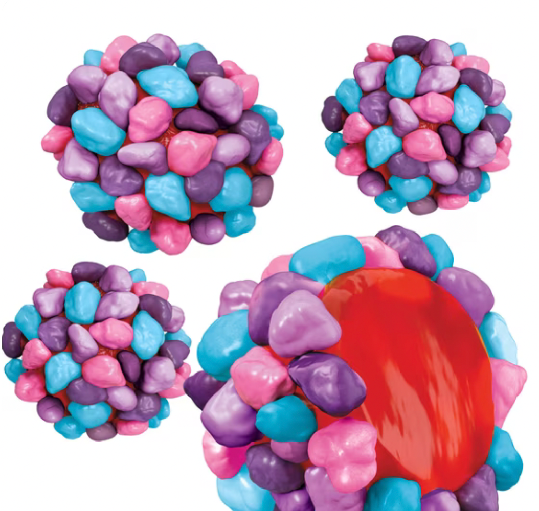 Wildberry Nerd Gummys